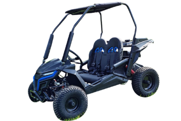 Preview: Buggy Ceetah Mini 163 ccm OHC 4 Takt Motor 2 Sitzer